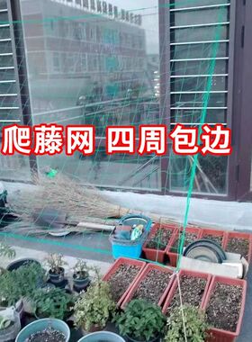 植物爬藤网丝瓜葡萄月季黄瓜攀爬网百香果搭架网种植网园艺家用