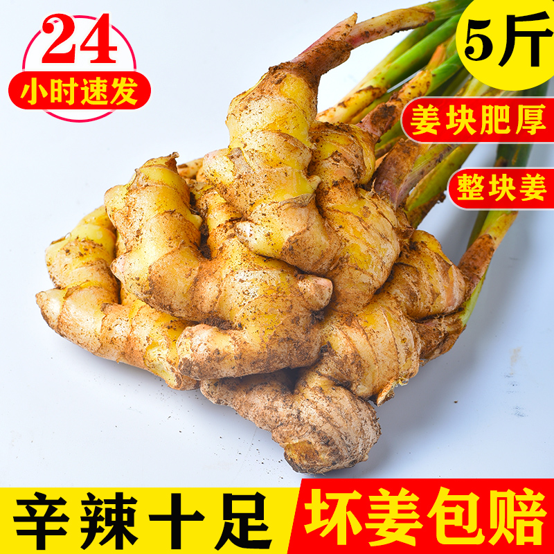 云南小黄姜生姜新鲜包邮10斤蔬菜老姜高海拔种大姜新姜月子姜嫩姜