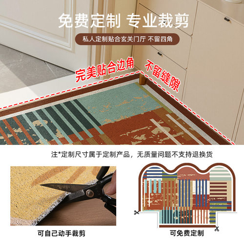 入户门地垫丝圈家用免洗玄关脚垫可裁剪地毯门口进门耐脏防滑垫子 - 图2