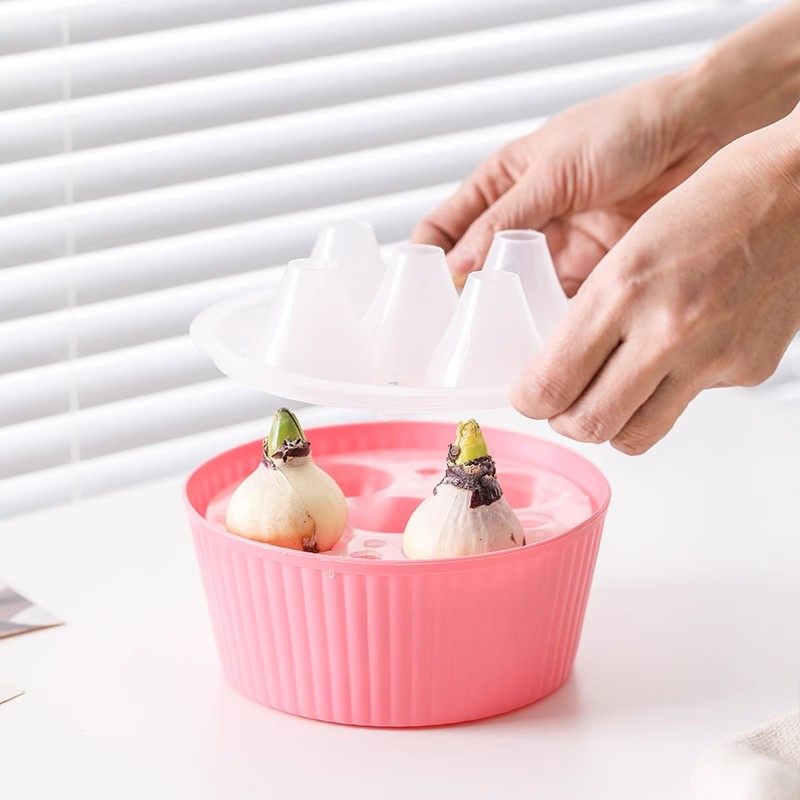 水培花盆郁金香水培植物容器三孔五孔大号风信子水仙种球水培器皿,淘宝优惠券,粉丝福利购,淘宝优惠卷