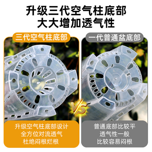 水苔蝴蝶兰专用花盆透明青山控根盆加厚大号透气兰花塑料花盆家用 - 图2