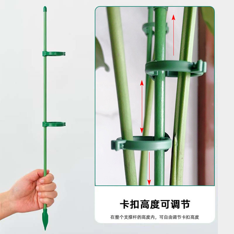 秋海棠专用支撑杆鳟鱼粉旗鱼海威盆栽兰花支撑架种菜爬藤固定支架,淘宝优惠券,粉丝福利购,淘宝优惠卷