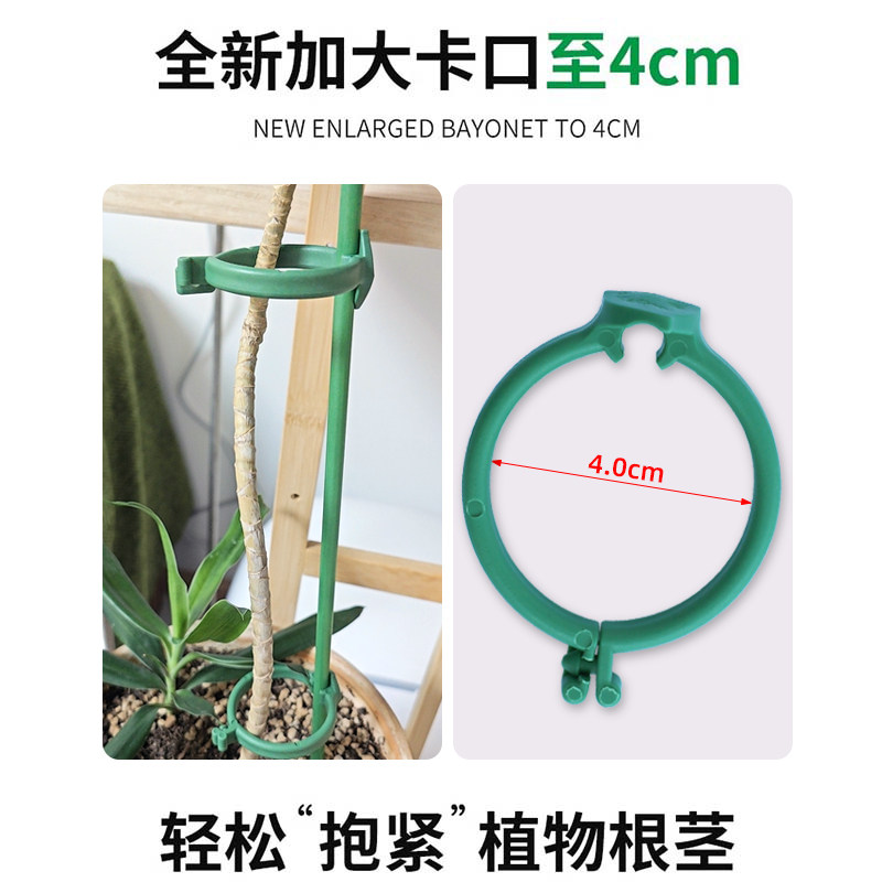 秋海棠专用支撑杆鳟鱼粉旗鱼海威盆栽兰花支撑架种菜爬藤固定支架,淘宝优惠券,粉丝福利购,淘宝优惠卷