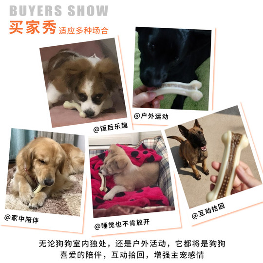 Eetoys Yite Dog Toys Bone Bites Gel Teddy