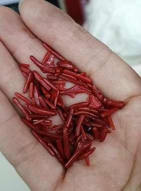 天然海竹苗1mm大红色细条散装不规则供佛衣帽手工装饰配件材料diy
