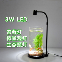 LED spotlight micro-landscape tonic light water grass moss multi-meaty water group view fish tank tonic light lamp spotlight growth lamp