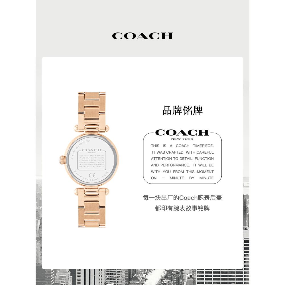 【520礼物】COACH/蔻驰CARY系列晶钻繁星表带白母贝表盘手表女表