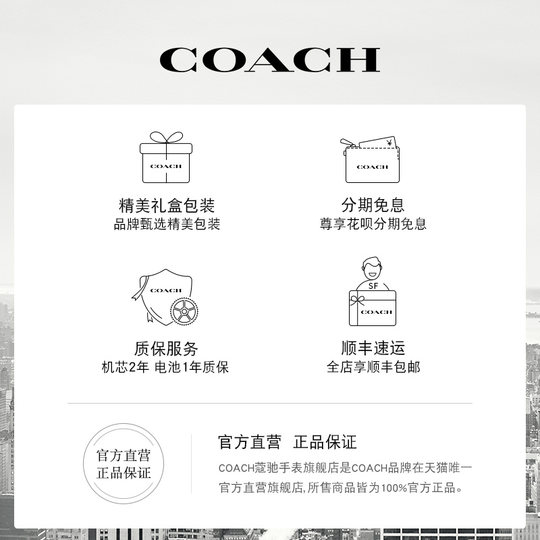Кварцевые женские часы Coach Belt с овальным диском и маленькой ванной