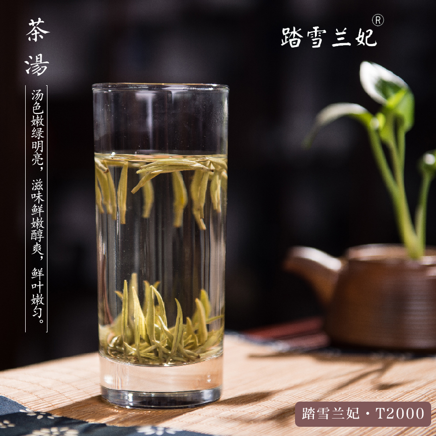 2023特级黄茶踏雪兰妃茶T2000 蒙顶山黄芽精致小罐装商务礼盒茶叶