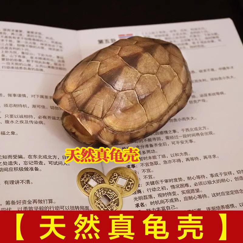 天然乌龟壳真龟甲文玩六十四卦六爻摇卦工具起卦乾隆铜钱算挂手把 - 图1