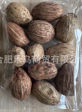 高品质12个一组 鹦鹉啃咬果实解闷磨嘴 天然干果天然材质 可做