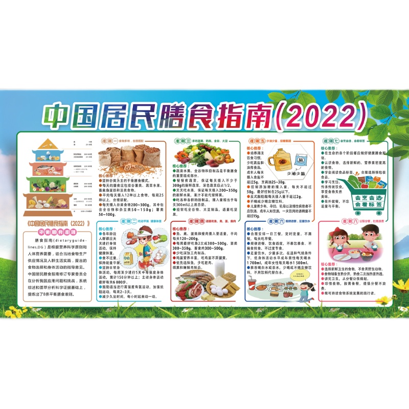 中国居民营养膳食指南展板医院社区平衡膳食教育知识宣传栏PS素材 - 图2