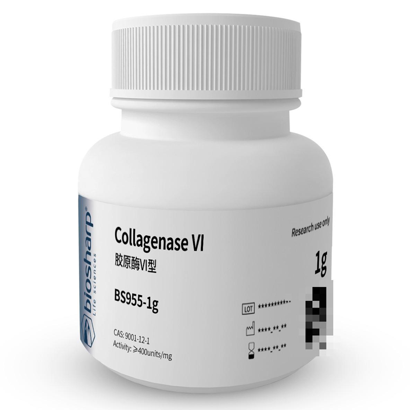 白鲨 BS955-100mg/1/10/50/100g胶原酶VI型Collagenase VI 2-8度-图0