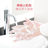 Beibei Jian Zealand Formaldehyde Clearing Agent.