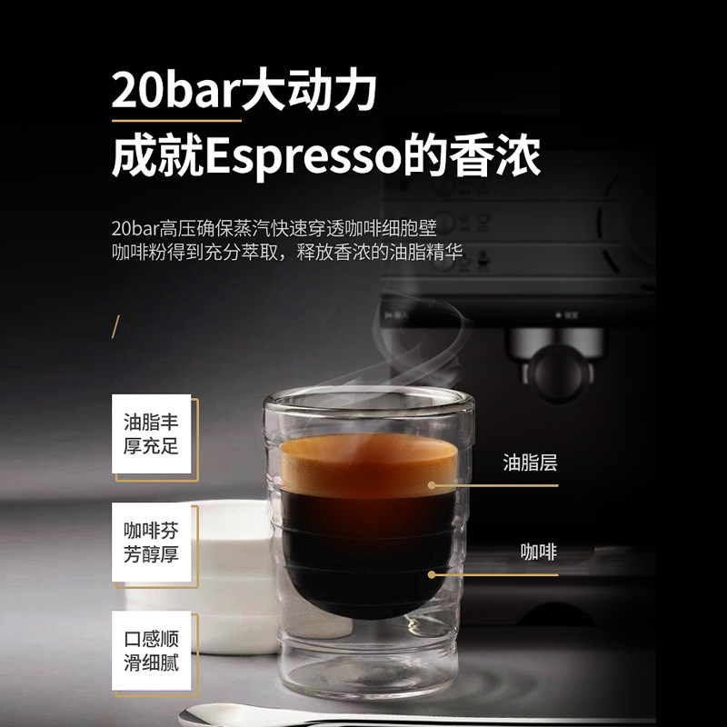 donlim /东菱dl-kf6001意式咖啡机 东菱咖啡机