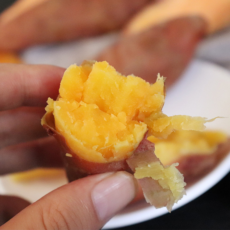 新鲜农家自种5斤烤地瓜板栗薯红薯 喜知滋番薯