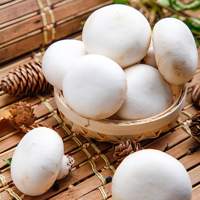 【顺丰包邮】新鲜口蘑现摘双孢菇白蘑菇冷链包邮产地直发时令蔬菜,淘宝优惠券,粉丝福利购,淘宝优惠卷