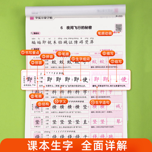四年级练字帖人教版2026小学生写字课课练每日一练上册下册语文课本同步钢笔楷书专用临摹字帖华夏万卷英语斜体硬笔书法描红练习本 - 图1