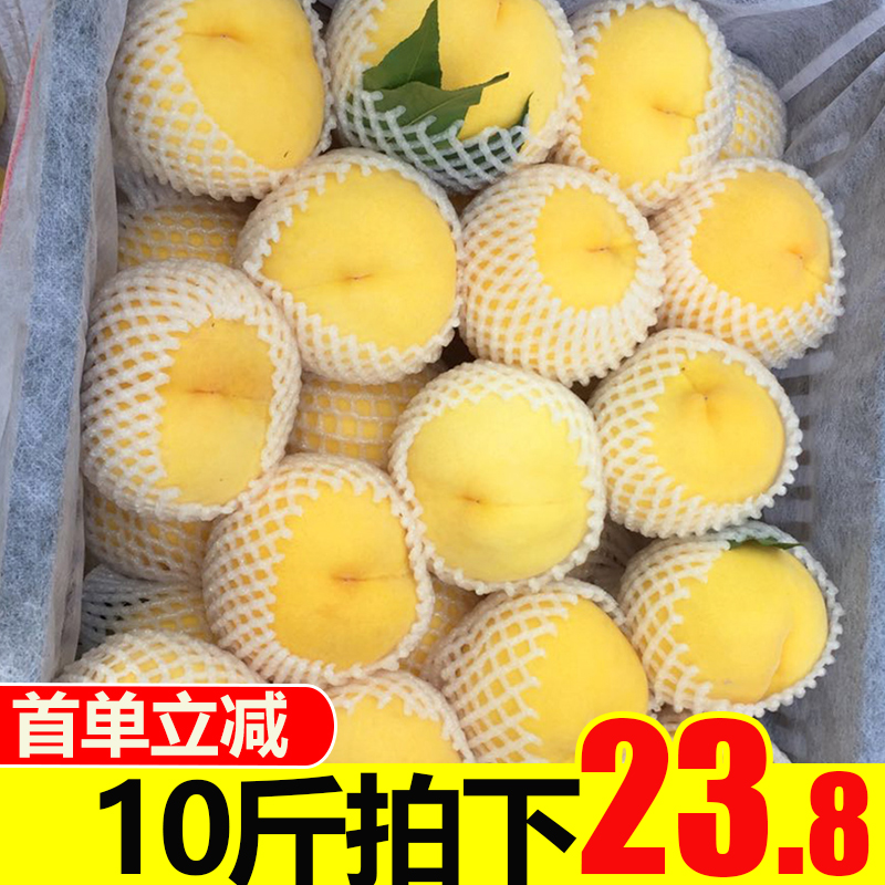 晨洁旗舰店现货黄桃新鲜水果脆桃当季10斤黄肉整箱10应季助农桃子包邮2