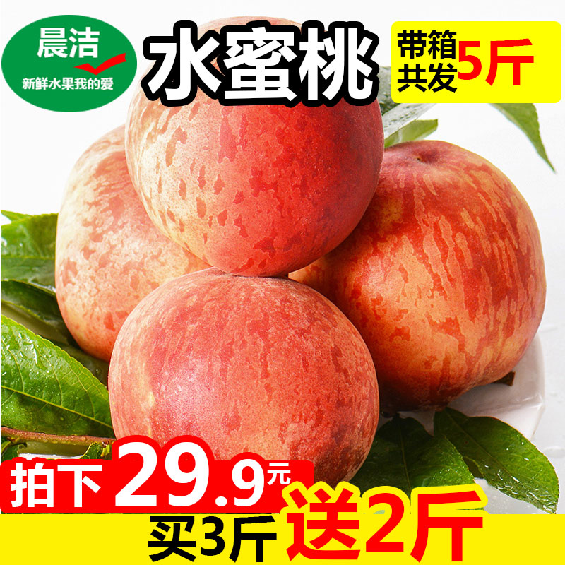 晨洁旗舰店青州蜜桃 脆甜小毛桃离核桃正宗青州小蜜桃水蜜桃新鲜桃子现货5斤1