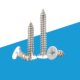 White countersunk head self-tapping screw paint spray white screw