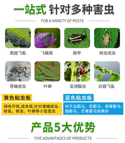 粘虫板黄板包邮双面诱虫板蓝板小黑飞粘飞虫纸农用大棚蓟马粘虫板 - 图0