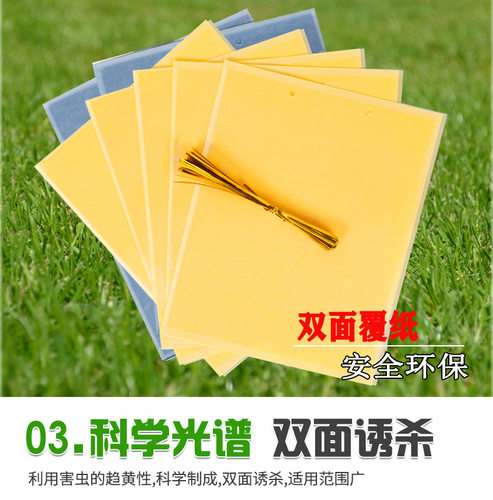 粘虫板黄板包邮双面诱虫板蓝板小黑飞粘飞虫纸农用大棚蓟马粘虫板 - 图3