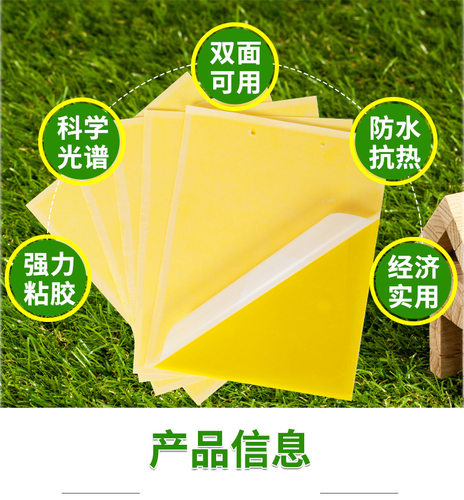 粘虫板黄板包邮双面诱虫板蓝板小黑飞粘飞虫纸农用大棚蓟马粘虫板 - 图1