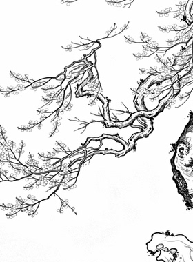 工笔画底稿花鸟明吕纪狮头鹅图竖幅白描177#打印稿宣纸稿