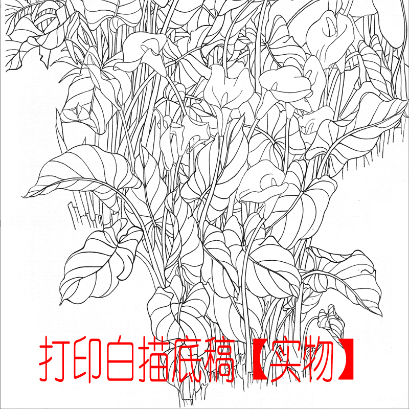 工笔画底稿 4尺花鸟蝴蝶竖副 无暇 白描打印稿毛笔勾线宣纸稿 - 图0