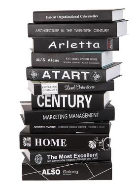 冷色系黑白灰假书彷真书样板房摆场道具模型书套电视柜装饰书摆件