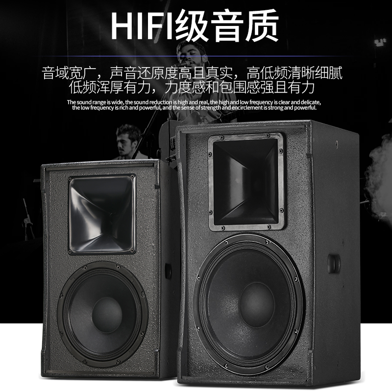 TKL 12-inch high-power KTV special speaker