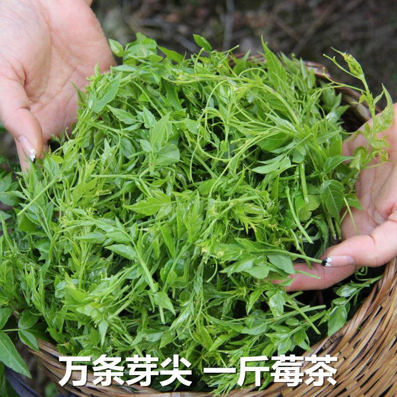 新莓茶正品特级野生张家界龙须芽尖藤茶霉茶茅岩莓长寿村茶农直销_虎窝淘