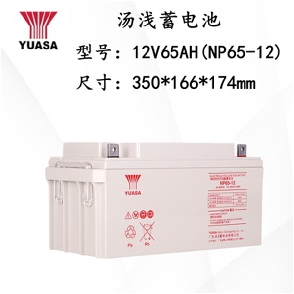 YUASA汤浅蓄电池NP65-12消防12V65AH17.2A24A38A100A120AH机房UPS