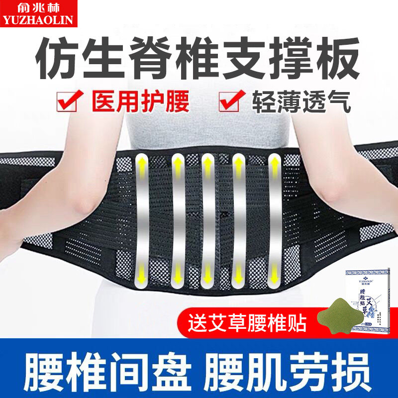 医用透气腰椎间盘突出腰围护腰带 俞兆林众创空间护具（器械）