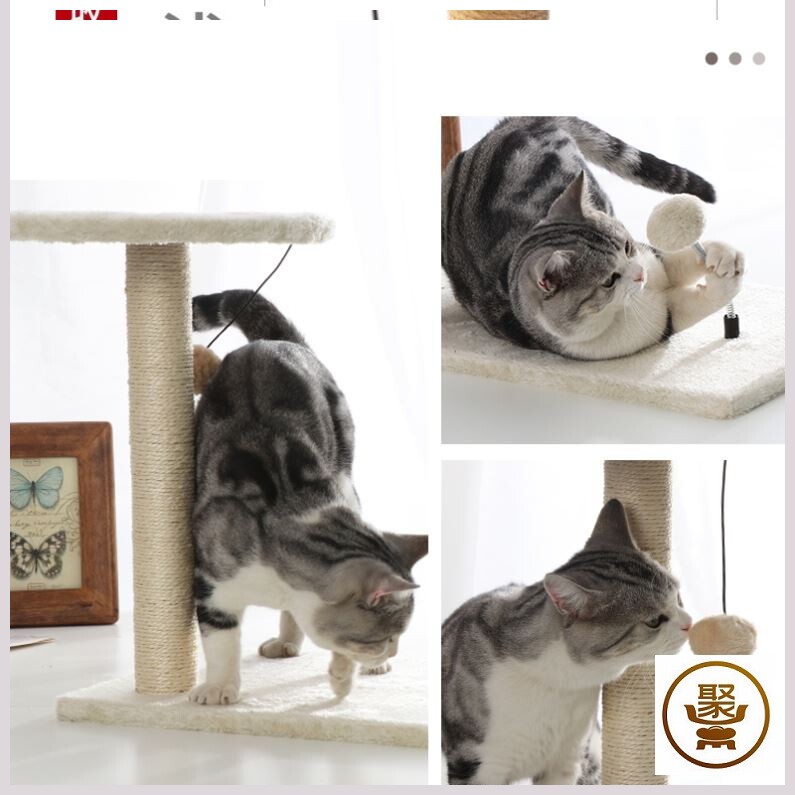 猫树玩推荐品牌 新人首单立减十元 21年6月 淘宝海外