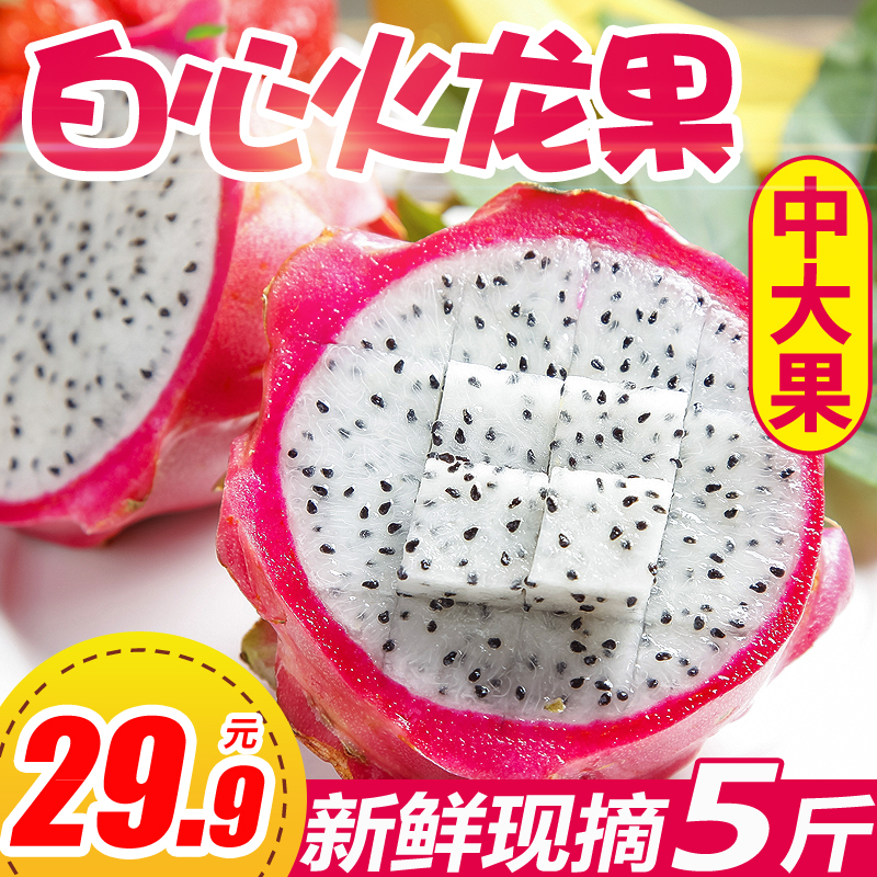 乐知果旗舰店越南白心火龙果应季新鲜水果包邮当季白肉热带火龙果批发包邮5斤0