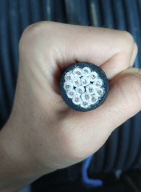 船用电缆多芯控制线CEFR7/8/10/12/14/16/19/24/30*1/1.5/2.5平方