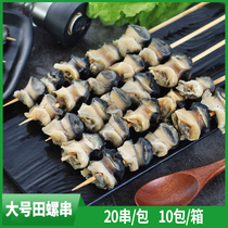 New Countryside Grass Large Field Snail Strings Fresh Outdoor Barbecue Ingredients Sea Snail Field Snail Big Strings Frozen Commercial Semi-finished Products