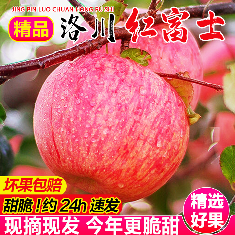 【顺丰上门】正宗陕西洛川苹果新鲜水果礼盒装洛川红富士苹果10斤,淘宝优惠券,粉丝福利购,淘宝优惠卷