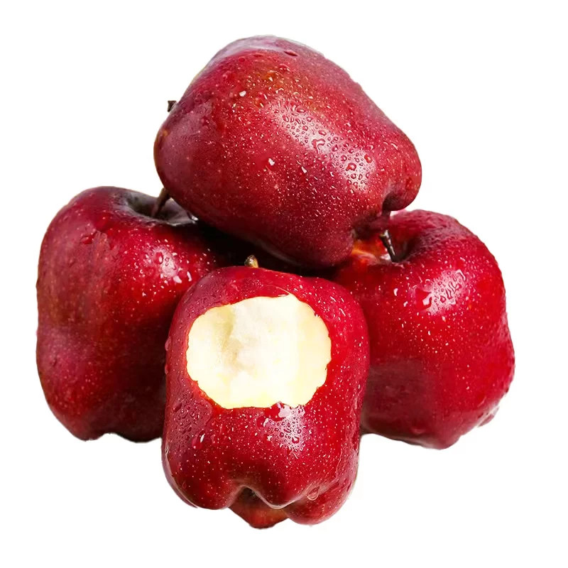 图 5