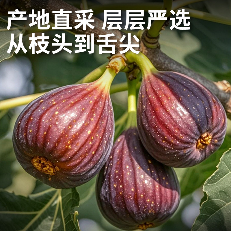 正宗新疆三蒸三晒无花果干2025新货无添加蔗糖新鲜即食青皮旗舰店,淘宝优惠券,粉丝福利购,淘宝优惠卷