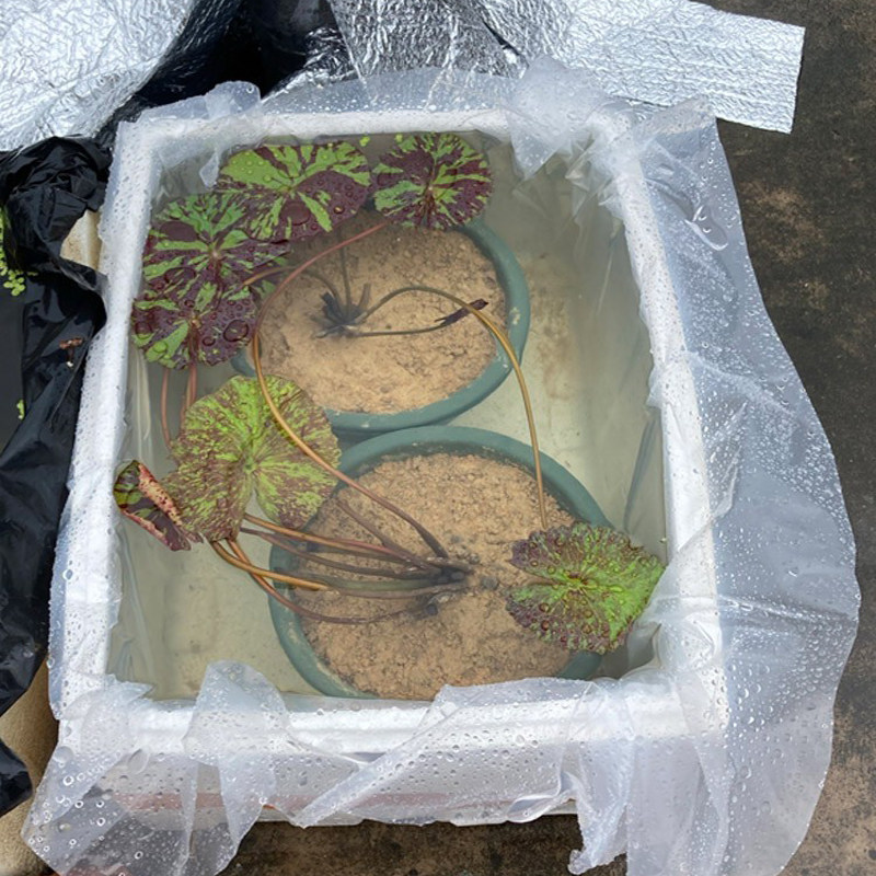 人工鱼池薄膜 防水膜鱼池防水膜 鱼池塑料膜做水池的膜水池专用膜,淘宝优惠券,粉丝福利购,淘宝优惠卷