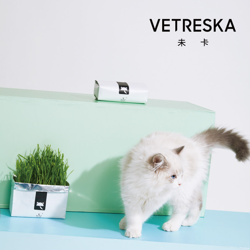 未卡vetreska 无土壤水培猫草 热品库 性价比省钱购
