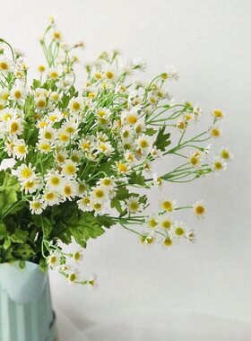 洋甘菊仿真花假花小雏菊花束家居客厅简约森系婚礼手捧花束B339