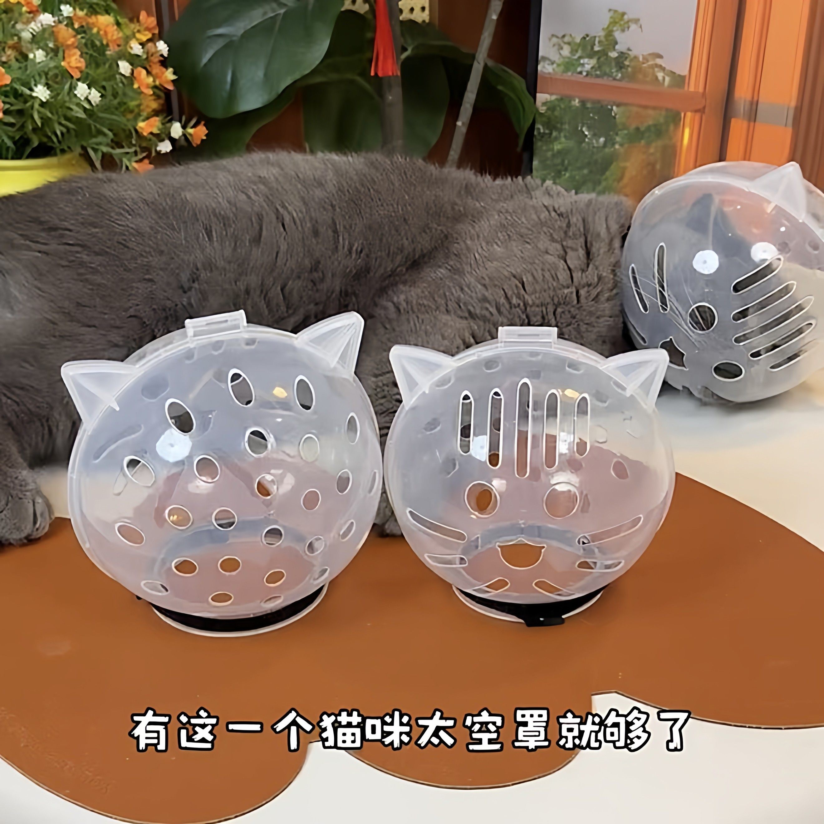 猫咪伊丽莎白圈幼猫成猫通用剪指甲上药头套防舔防咬球形太空头罩,淘宝优惠券,粉丝福利购,淘宝优惠卷