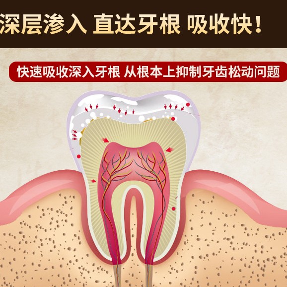 牙龈萎缩修复牙齿松动固齿散牙粉 英族家居牙粉