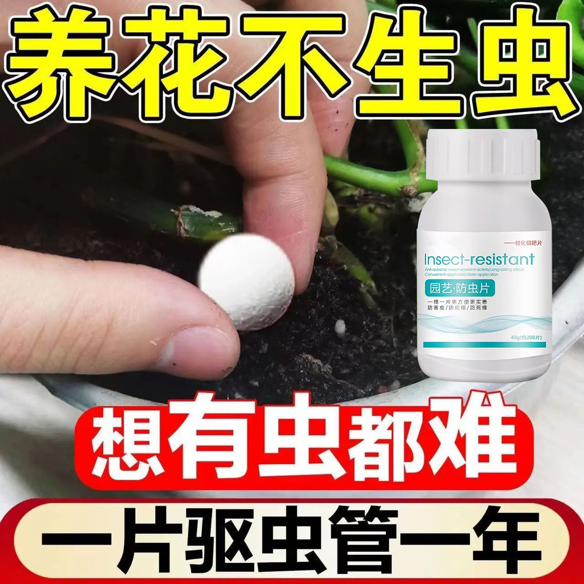 园艺防虫片糖化硼肥片绿植花卉防虫颗粒园艺驱虫片驱蚊虫防飞蚜虫-图1