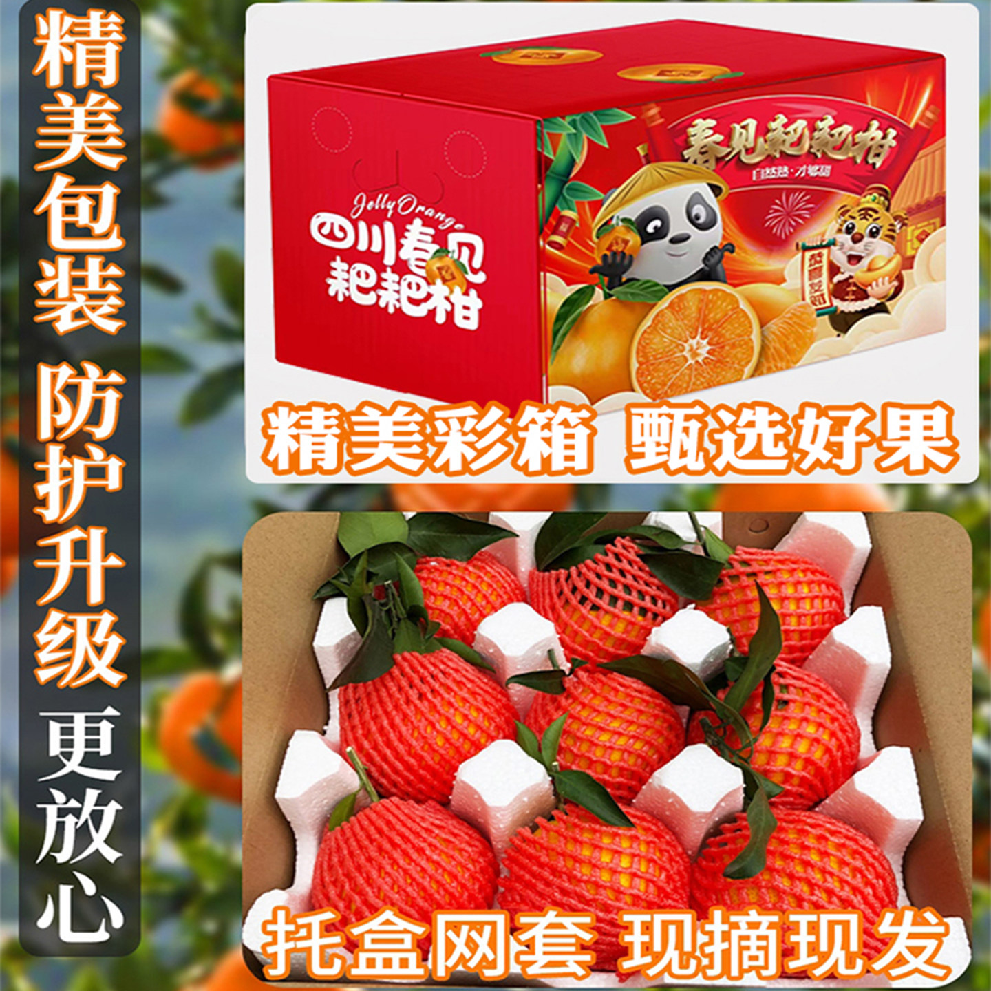 正宗四川春见耙耙柑9斤大果橘子新鲜水果粑粑柑丑桔子杷杷柑礼盒,淘宝优惠券,粉丝福利购,淘宝优惠卷