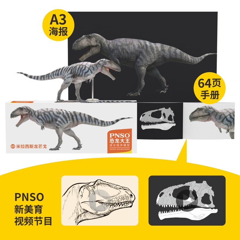 新品PNSO米拉西斯龙芒戈恐龙大王成长陪伴模型69-图2